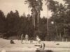 Поездка в летнюю школу СУНЦ (ФМШ) НГУ.