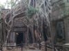 Храмовый комплекс Ангкор самостоятельно.