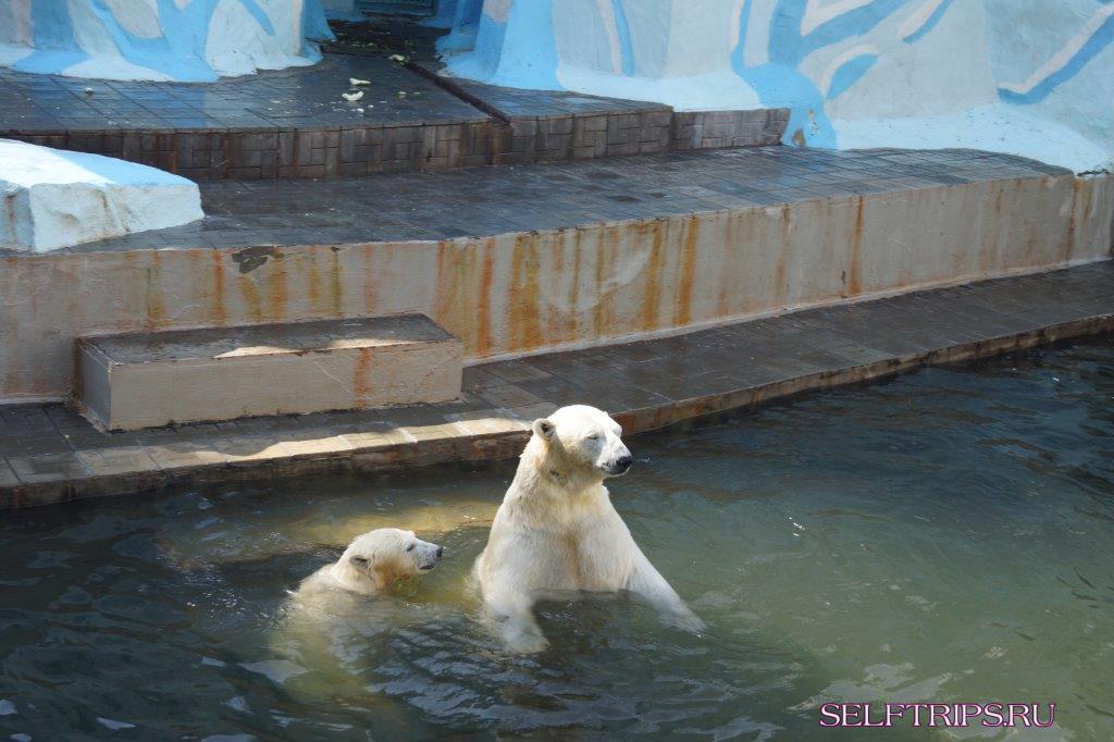 Zoo