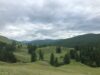 Поездка на перевал Кату-Ярык, Горный Алтай