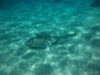 Самое голубое море — но не Мальдивы: ТОП -3 красивых морей и пляжей